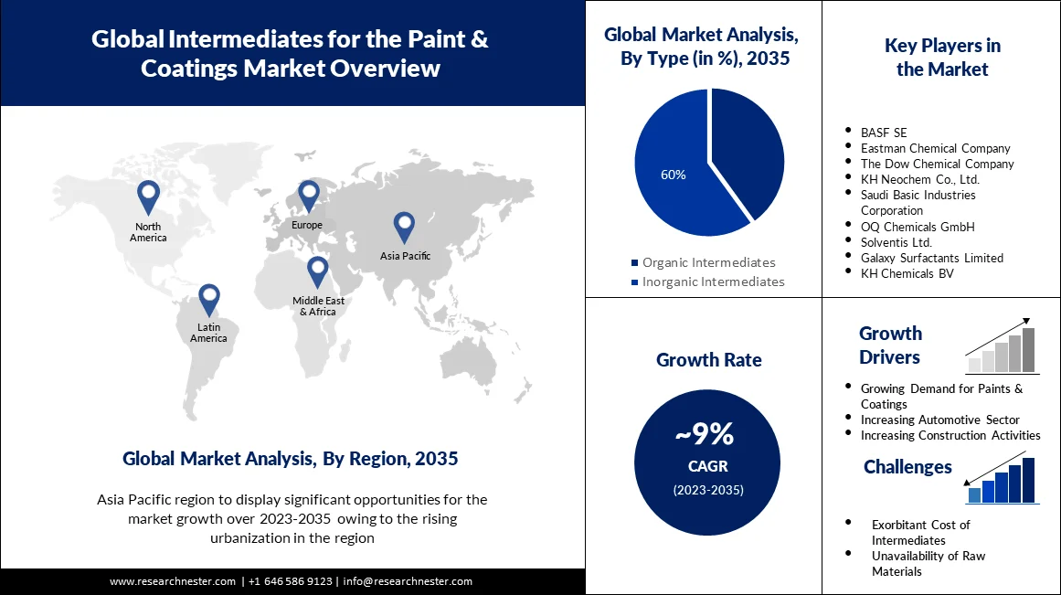 Intermediates for the Paints & Coatings Market